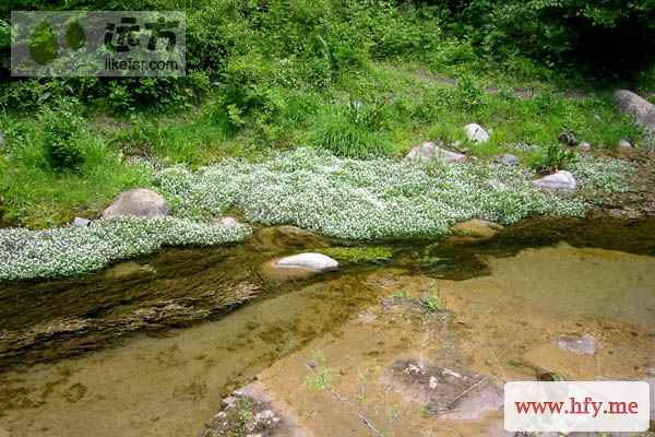 20120705104907_66660.jpg