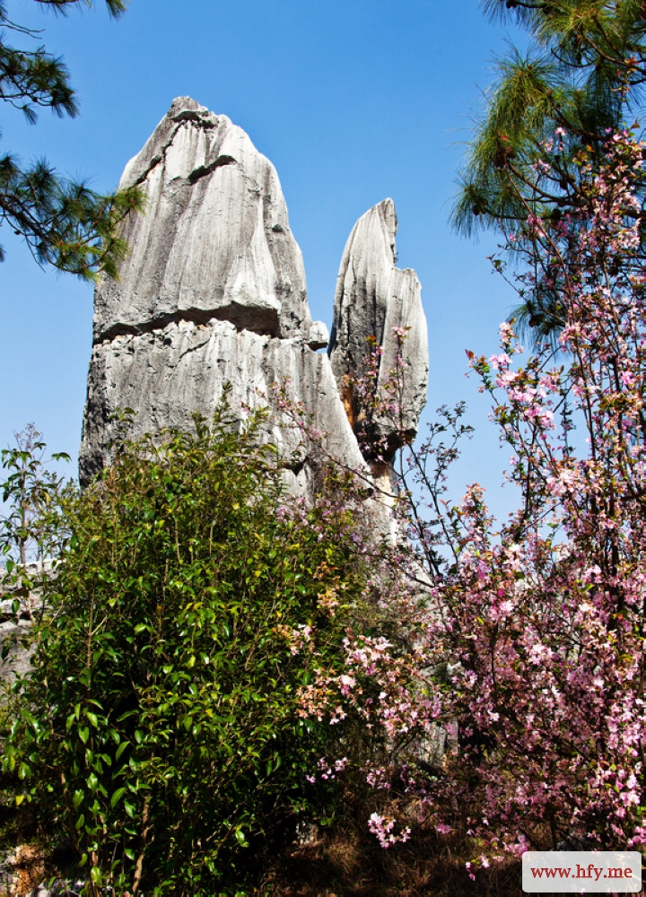 云南石林 (21).jpg