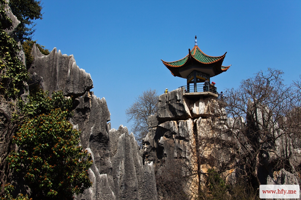 云南石林 (37).jpg