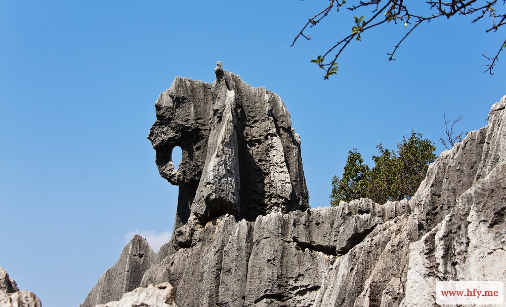 云南石林 (36).jpg