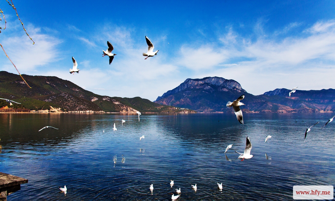 泸沽湖 (18).jpg