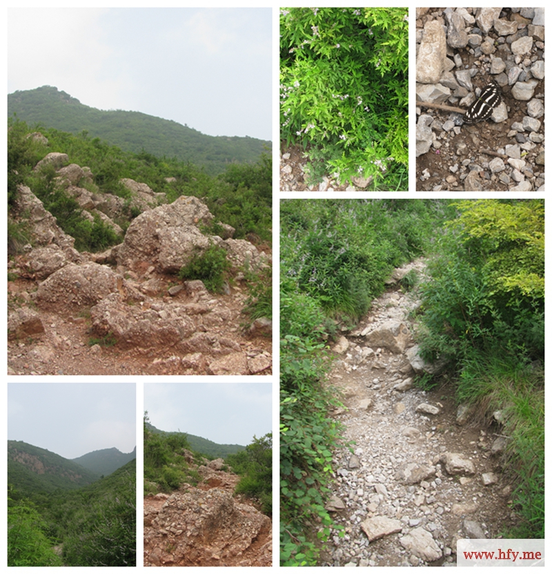 2山路崎岖，但风景怡人.jpg
