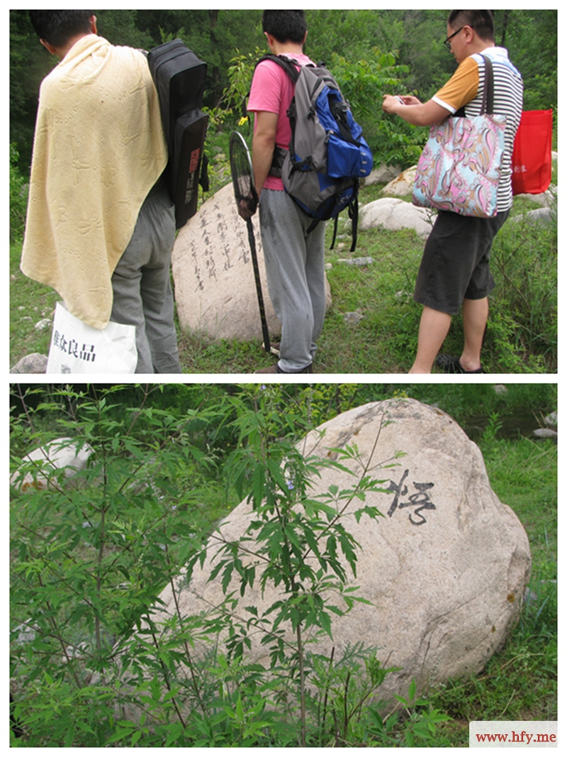 7驻足阅览山石上的诗句.jpg