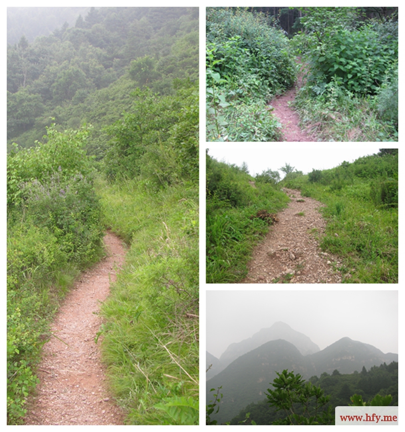 14下山羊肠小路.jpg