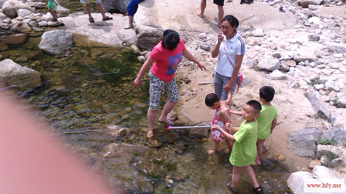 IMG_20140531_105929.jpg