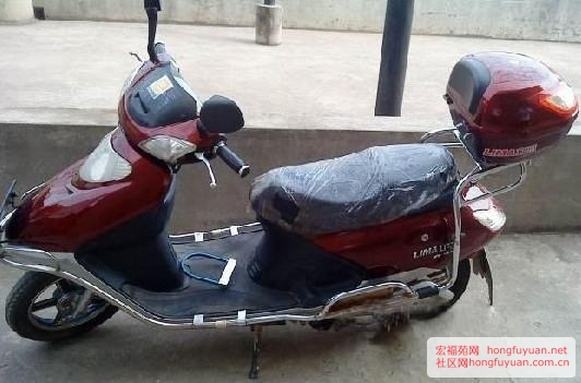 立马.jpg