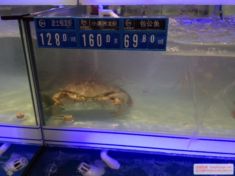 210307aj8zzjwijsj0vw05.jpg