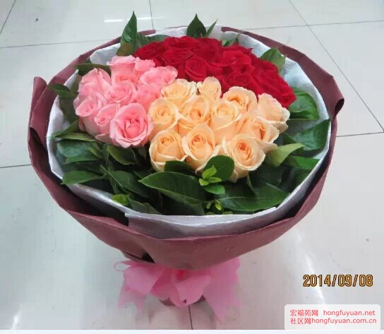 psb (65).jpg
