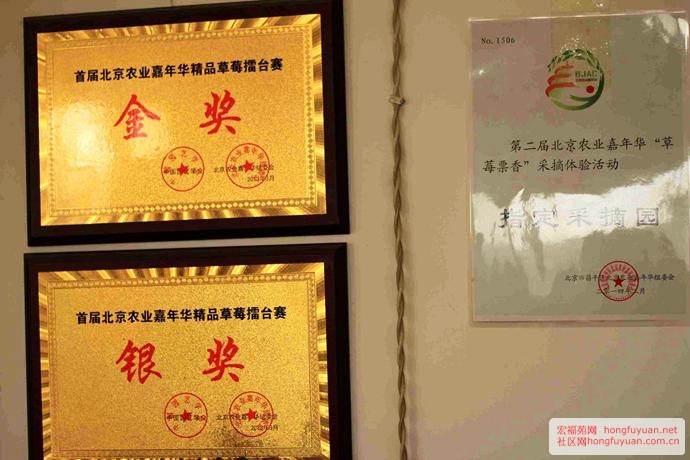 图片20.jpg