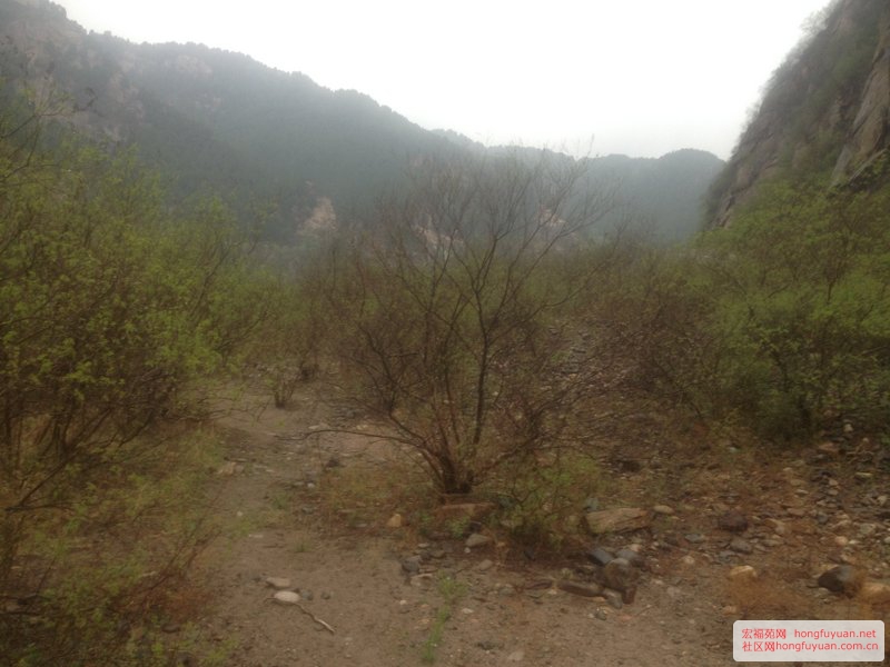 白河峡谷风景 (13).jpg