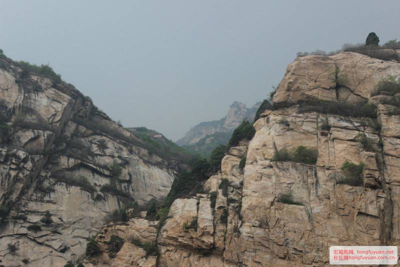 白河峡谷风景 (30).jpg