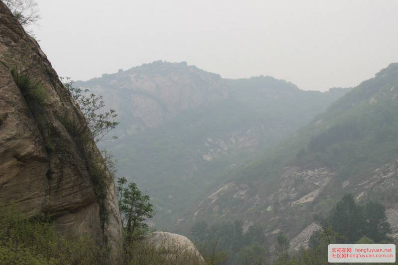 白河峡谷风景 (51).jpg