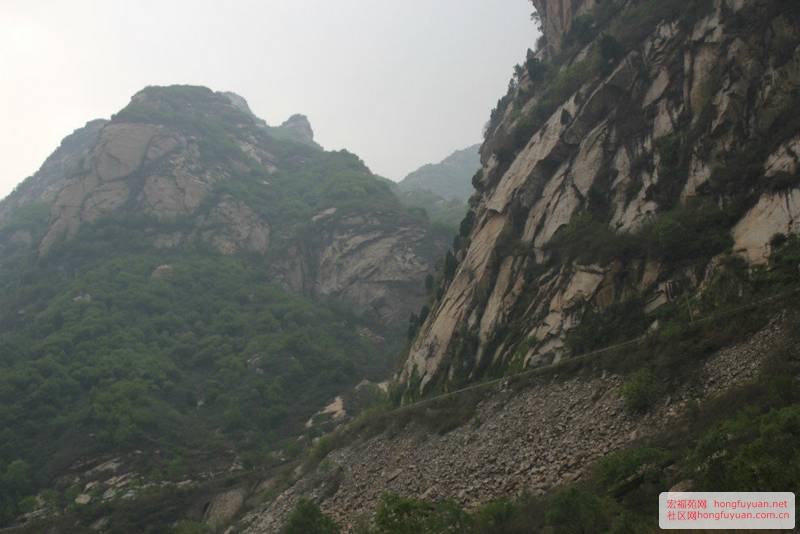 白河峡谷风景 (46).jpg