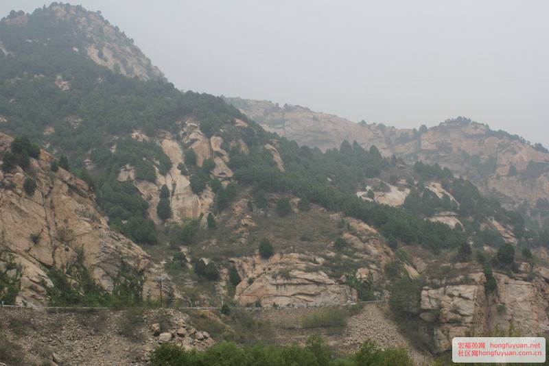 白河峡谷风景 (37).jpg