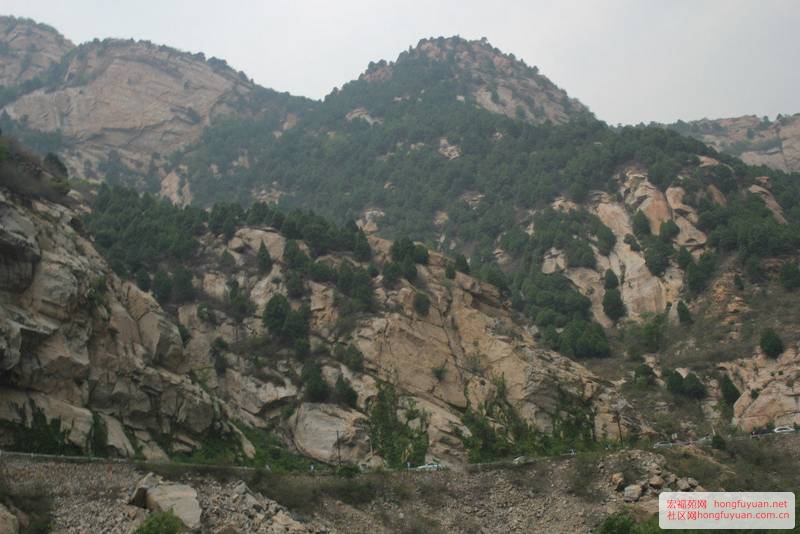 白河峡谷风景 (27).jpg