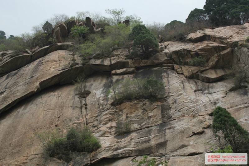 白河峡谷-扎营烧烤 (75).jpg