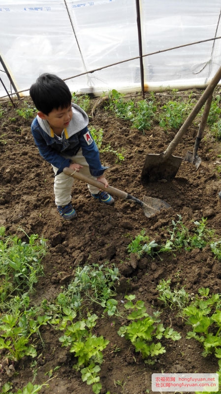 IMG_20150406_101415.jpg