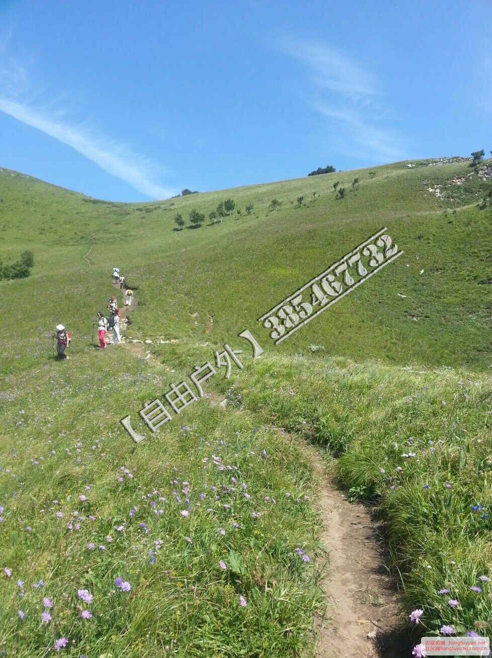 QQ图片20150511200647.jpg