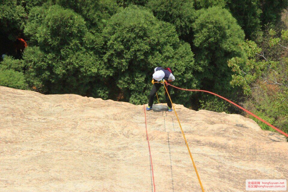 QQ图片20150525171744.jpg