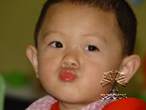 20050405165523389.jpg