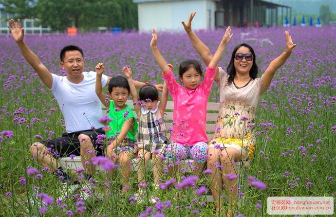 图片5.jpg