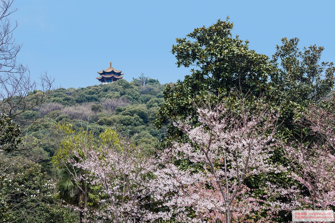 无锡太湖鼋头渚 (142).jpg
