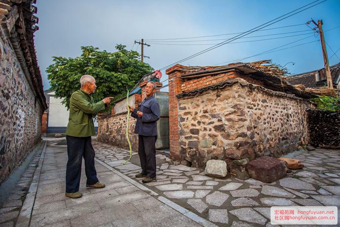 图片35.jpg