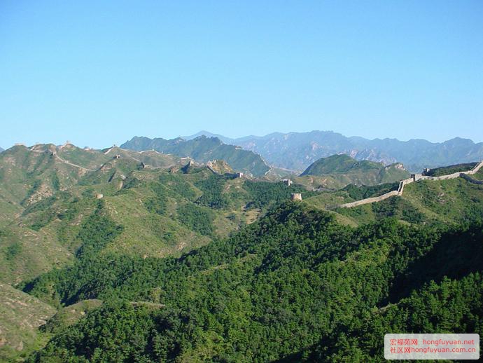 图片41.jpg