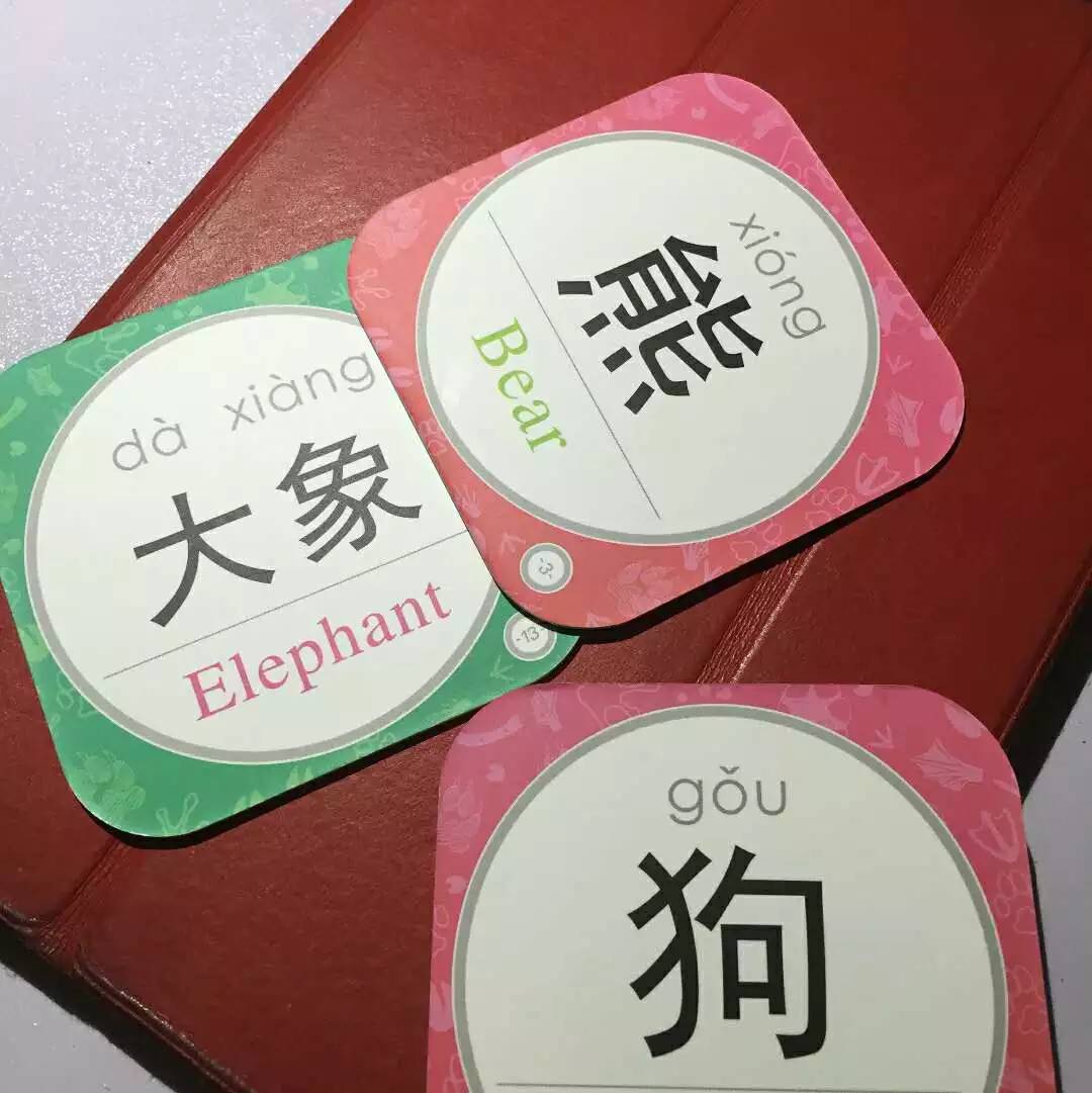 小朋友的掌上动物园