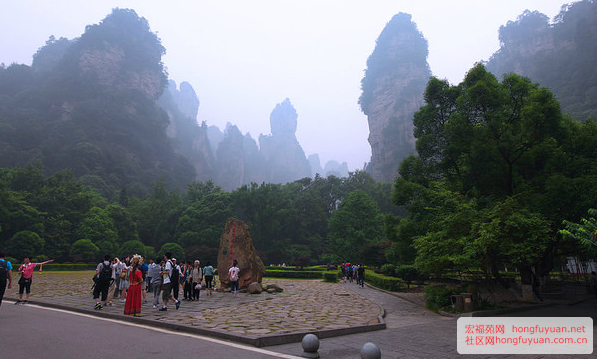 复件 QQ图片20100101143618.png