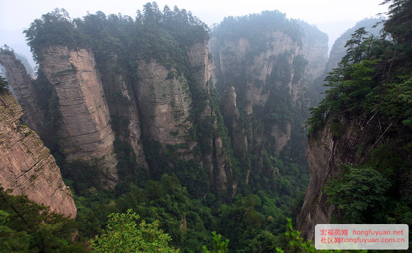 复件 QQ图片20100101143737.png