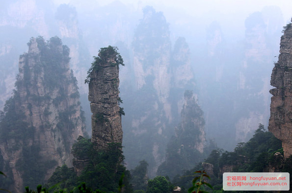 复件 QQ图片20100101143759.png