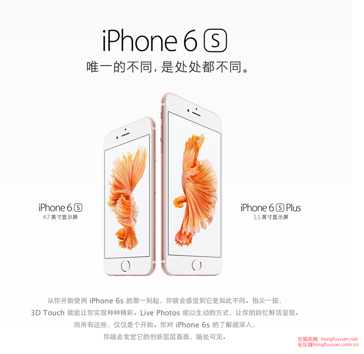 filehelper_1462088954241_57.png