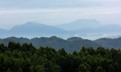 t015393d9d5f4bb25b9.jpg