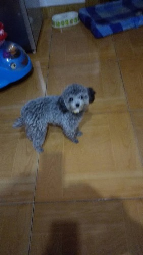 image.jpeg