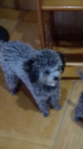 image.jpeg