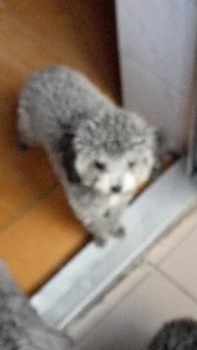 image.jpeg