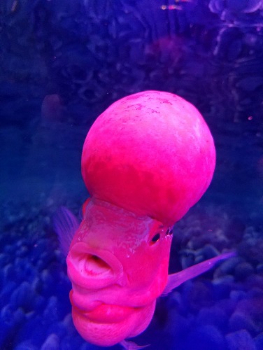 20160614_190402.jpg