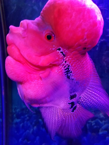 20160614_190349.jpg