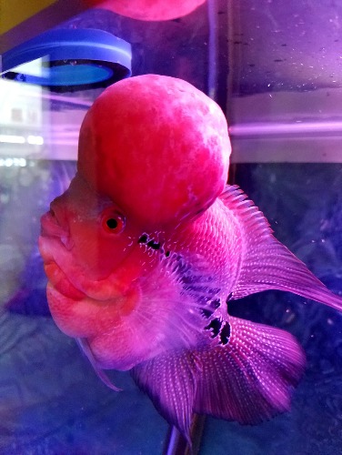 20160614_190319.jpg