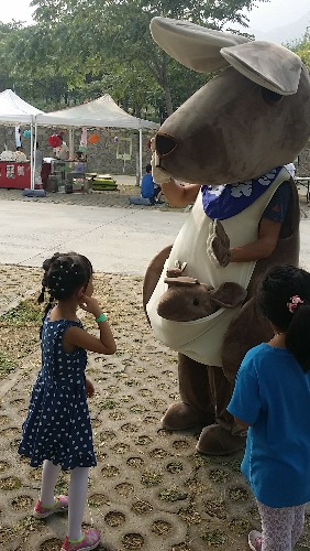 20160916_132735.jpg