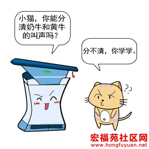 奶牛和黄牛1.jpg
