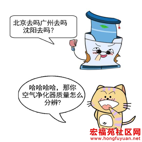奶牛和黄牛3.jpg