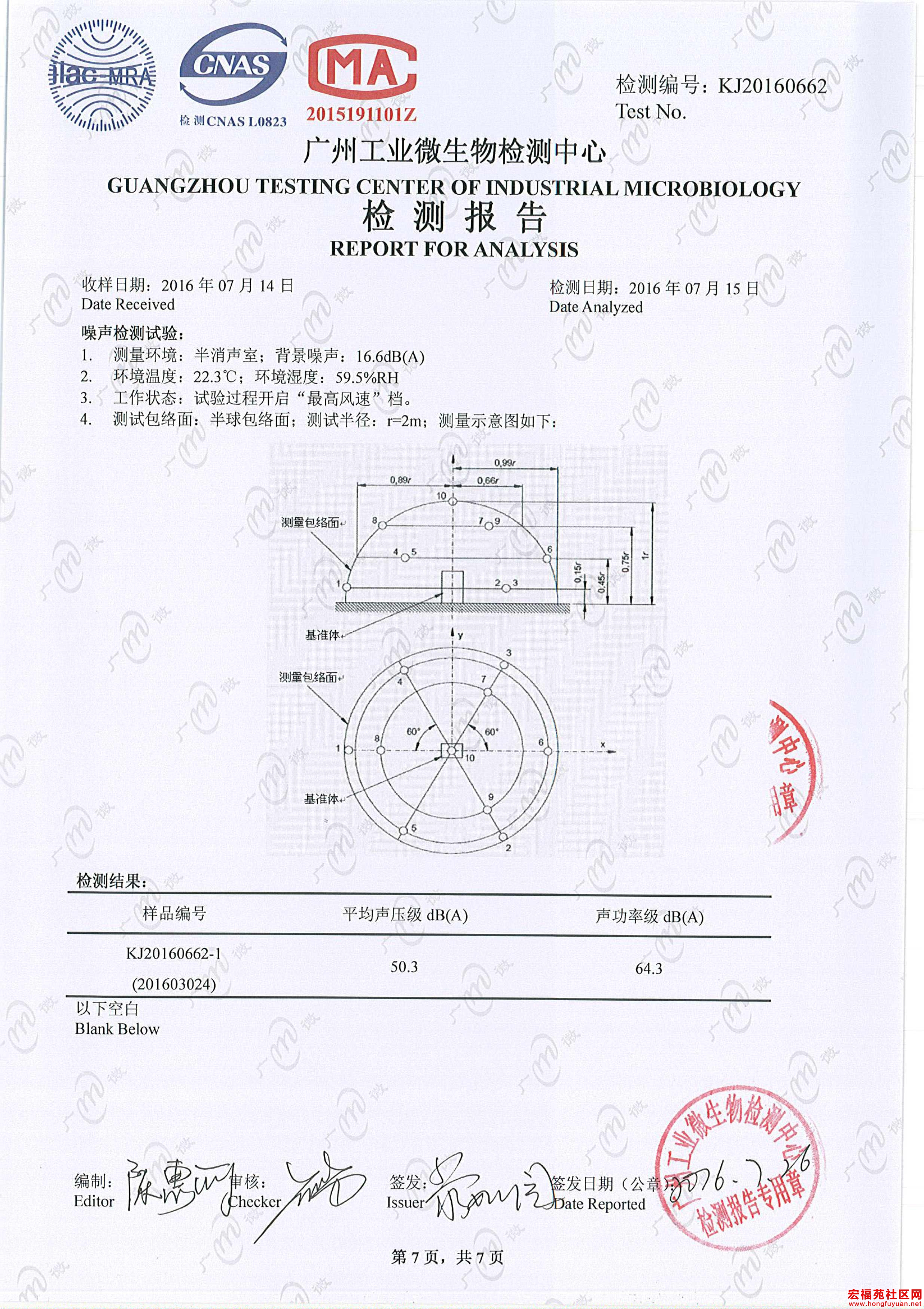 奶牛与黄牛-7.jpg