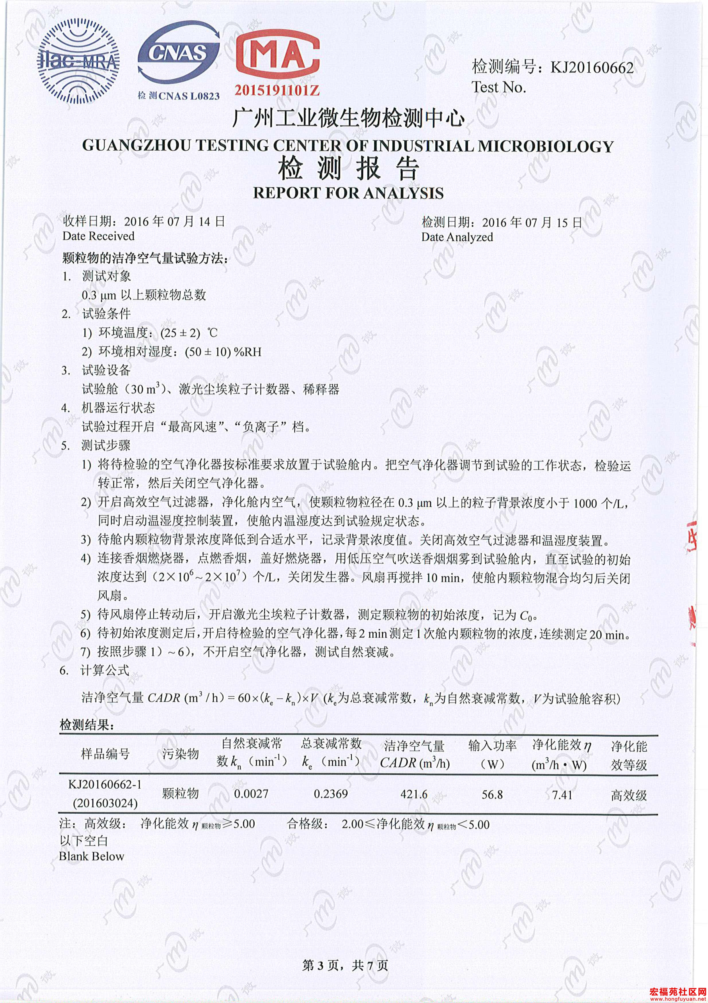 奶牛与黄牛-3.jpg