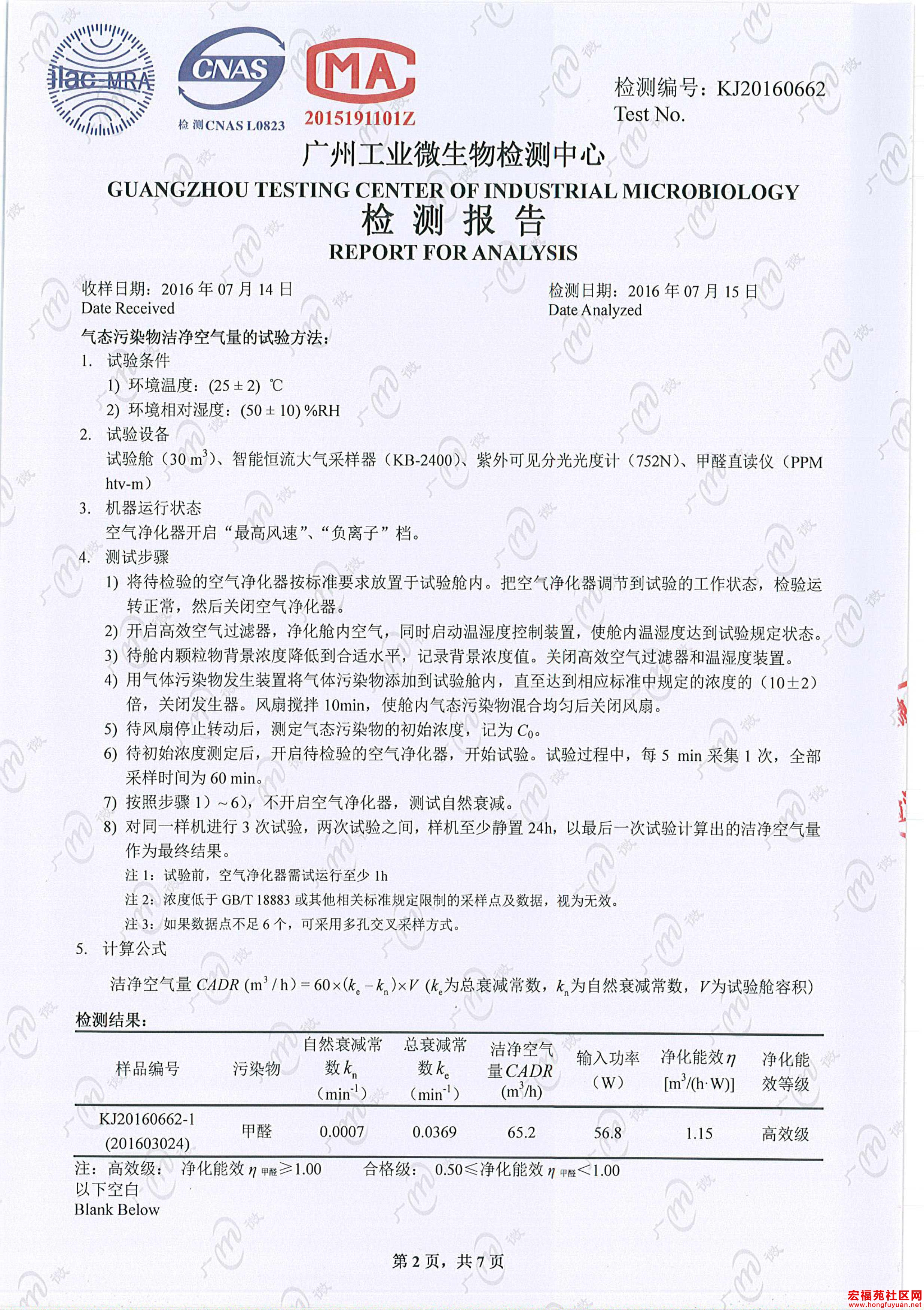 奶牛与黄牛-2.jpg