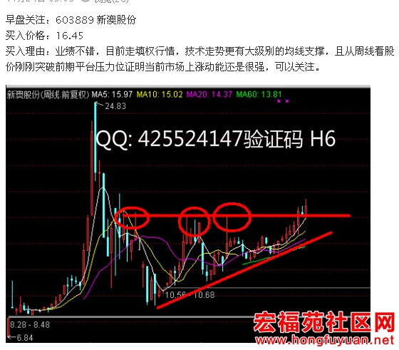新澳..jpg