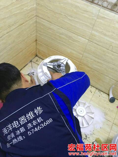 115429rn1n1i88nogrf1fy.jpg