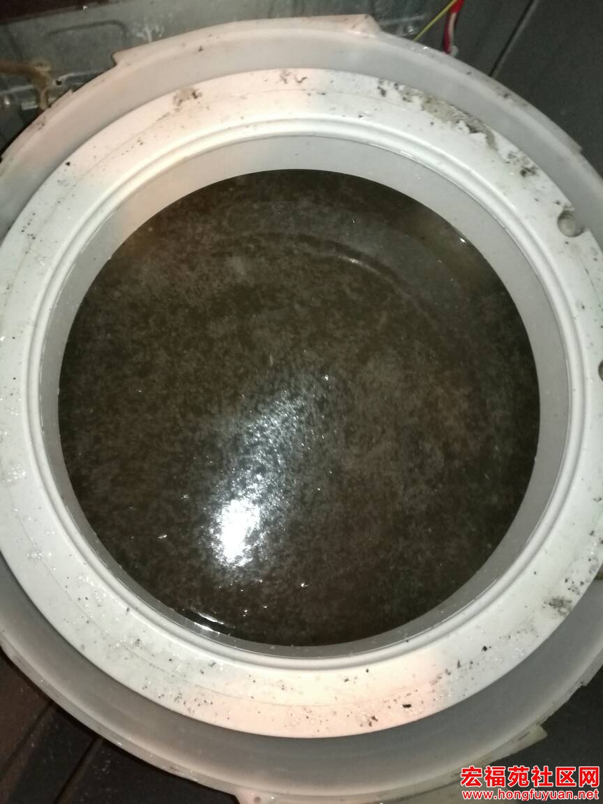 203104n9l978h9cralrolx.jpg