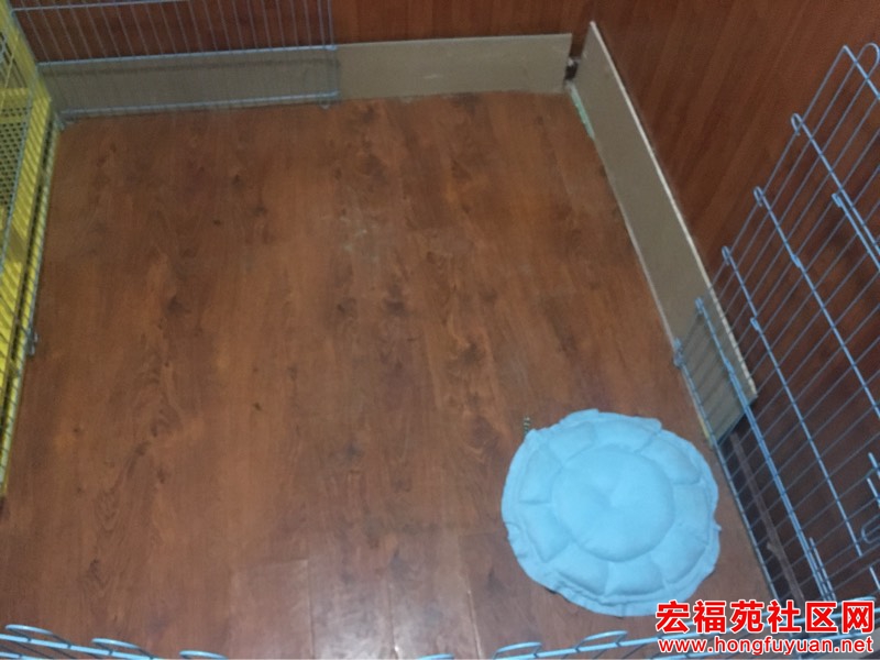 092528ovumb49wuwj3wer4.jpg